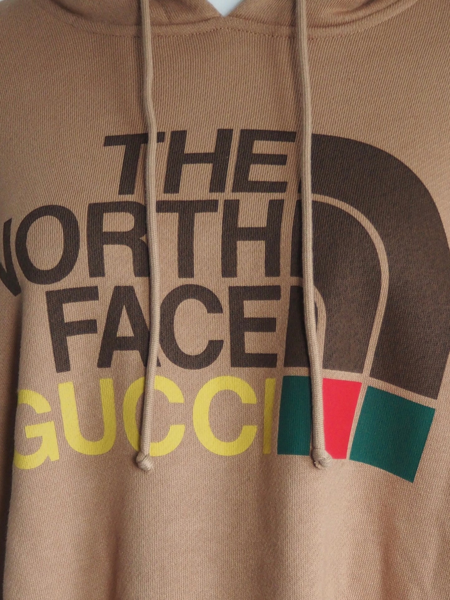 GUCCI X THE NORTH FACE HOODIE - S