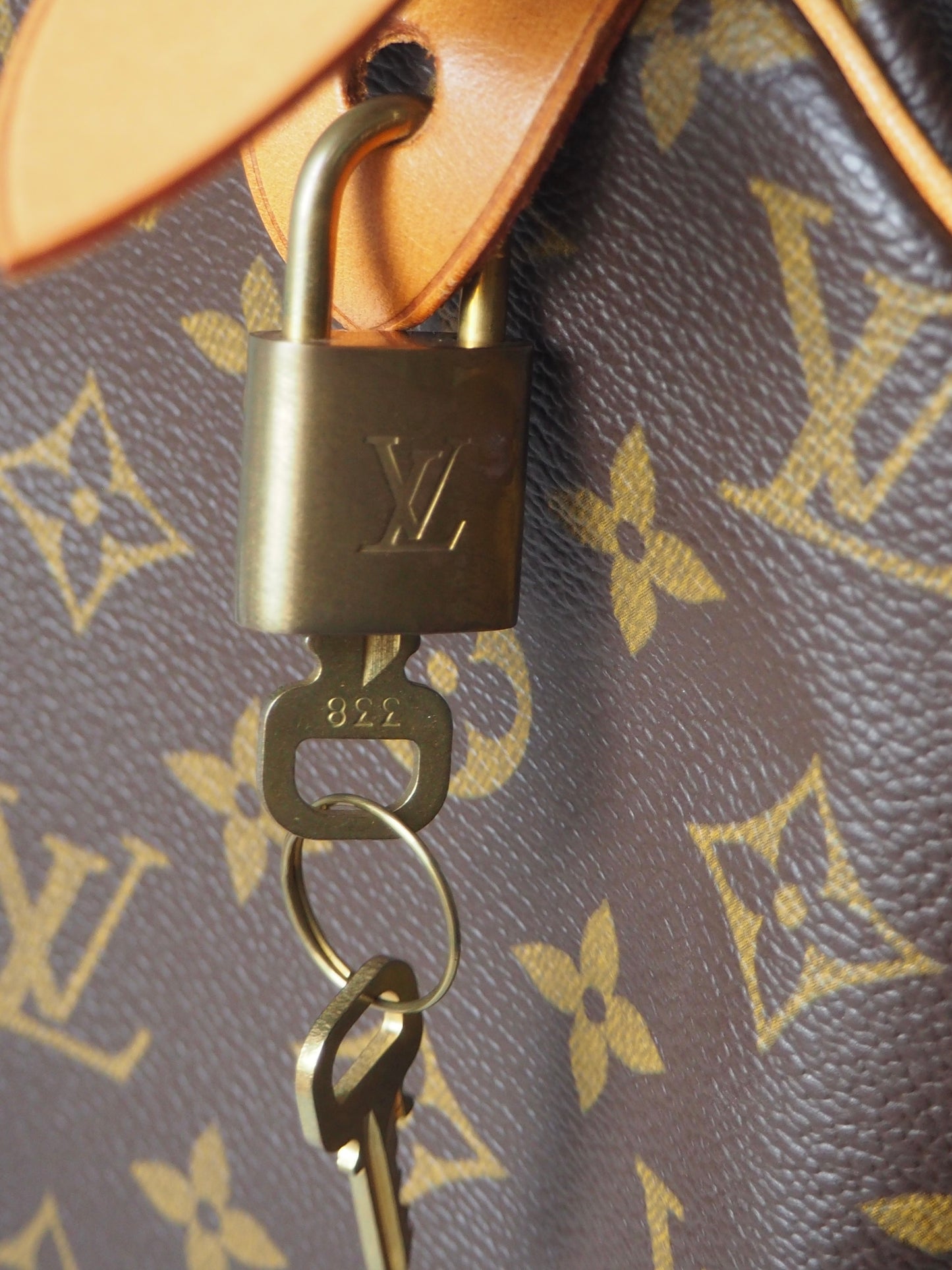 LOUIS VUITTON SPEEDY 30