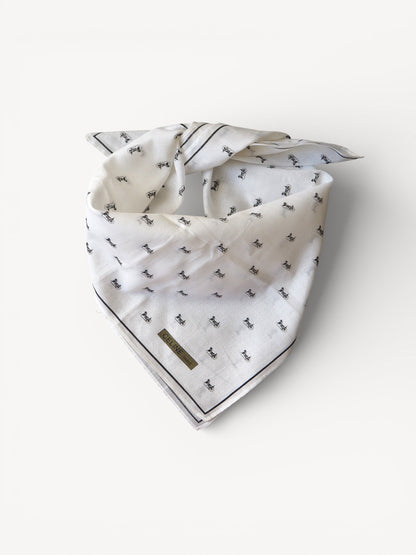 CELINE CARRIAGE SCARF