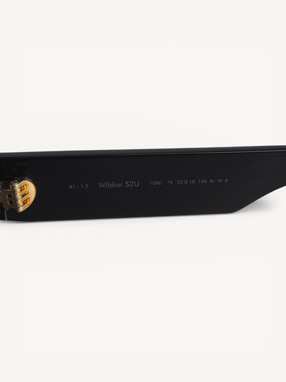 DIOR WILDIOR S2U SUNGLASSES