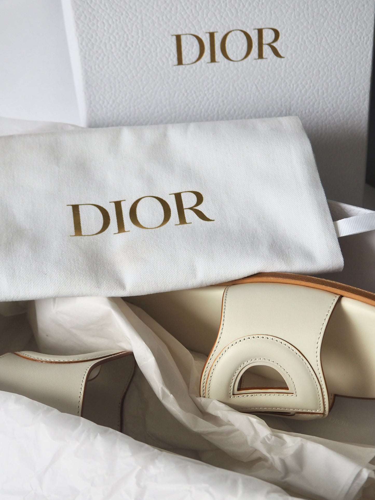 DIOR D-CLUB SLIDES - 42