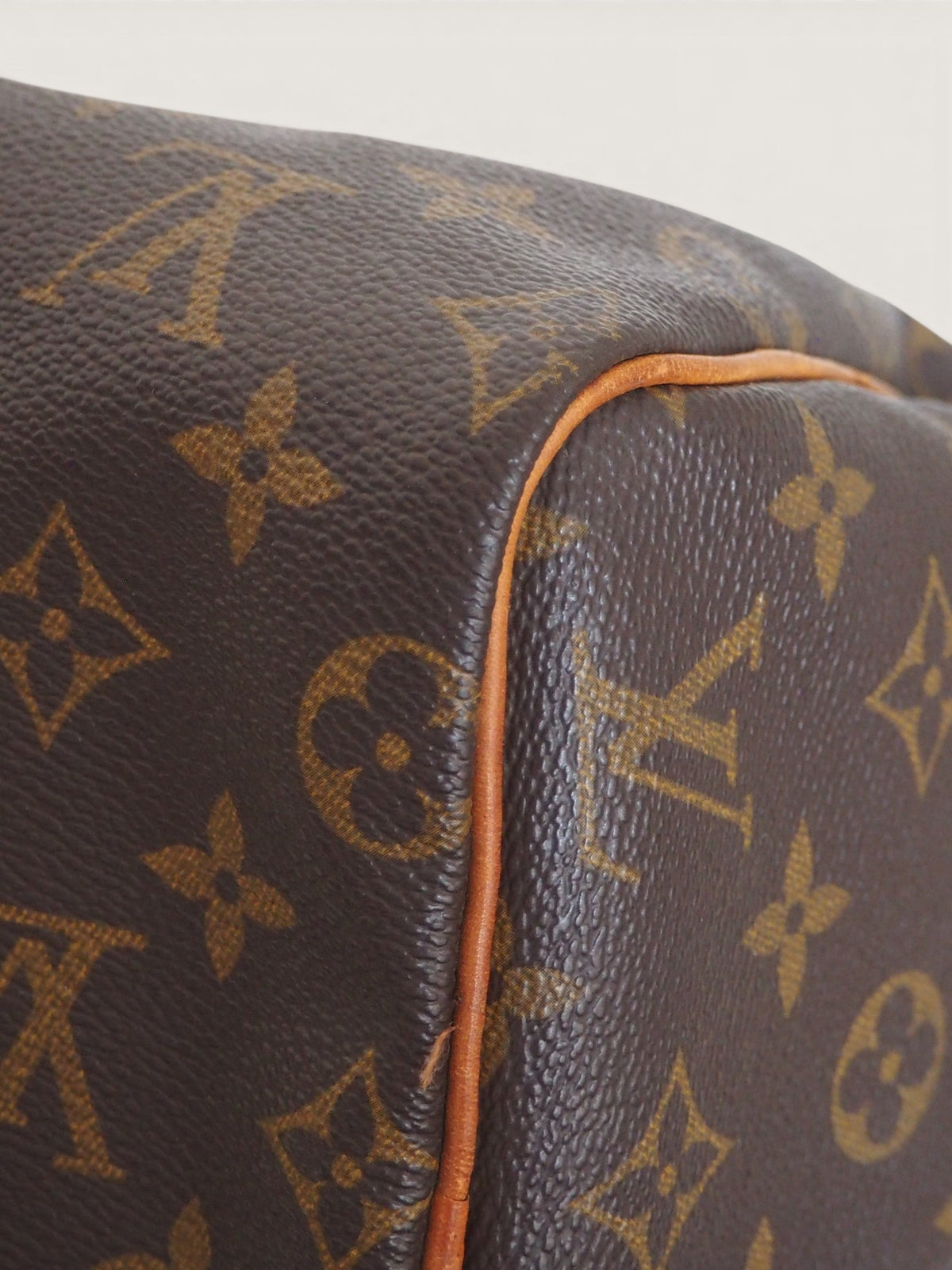 LOUIS VUITTON SPEEDY 25