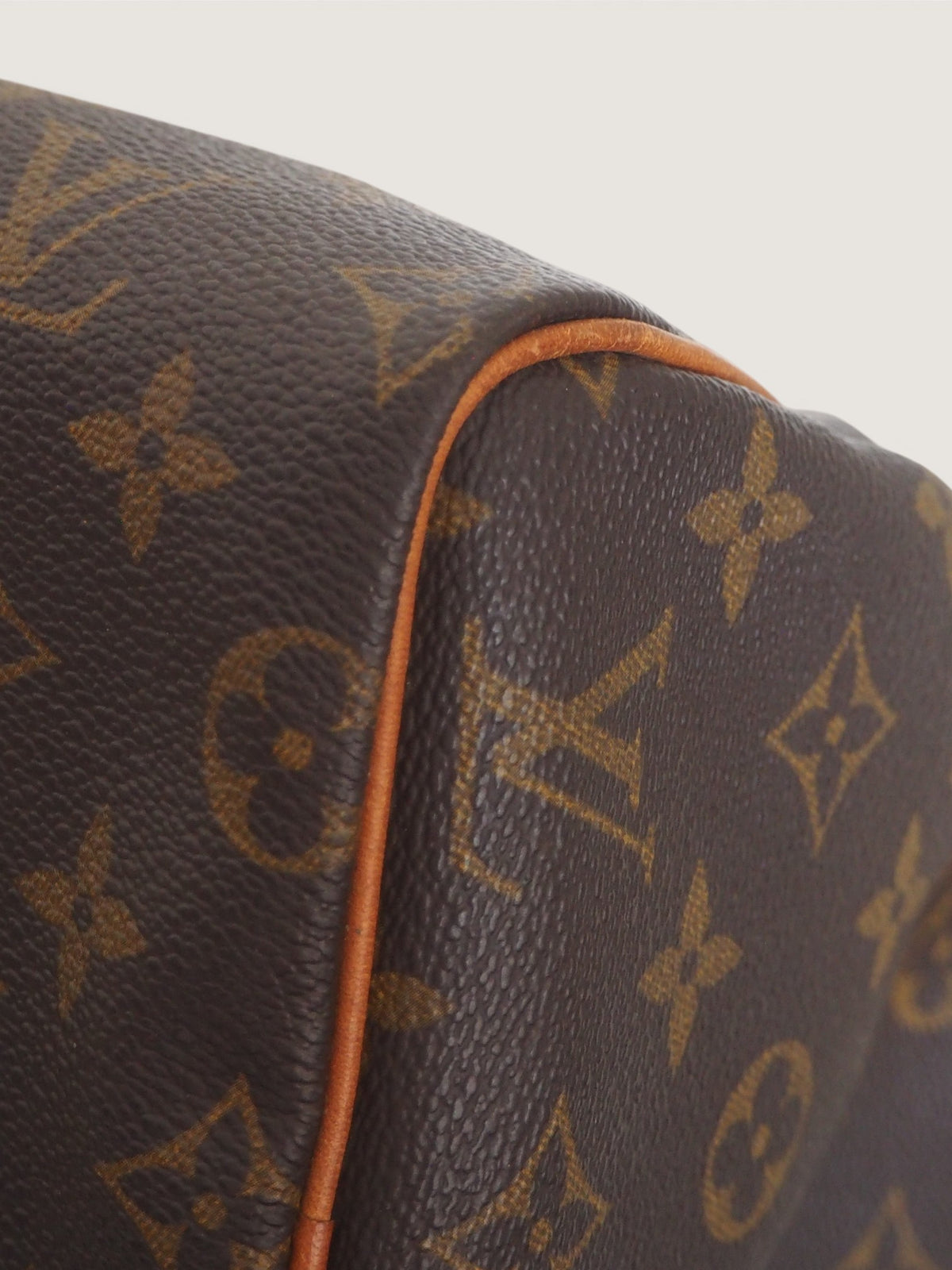 LOUIS VUITTON SPEEDY 25