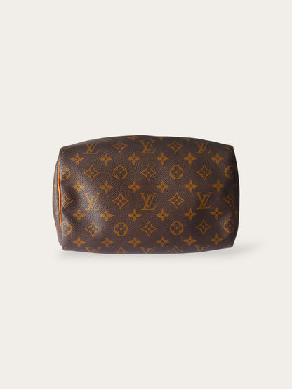 LOUIS VUITTON SPEEDY 25